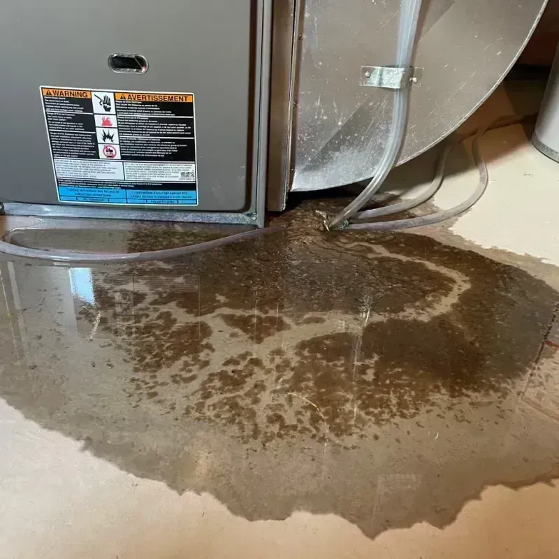 Appliance Leak Cleanup in Campbell County, KY